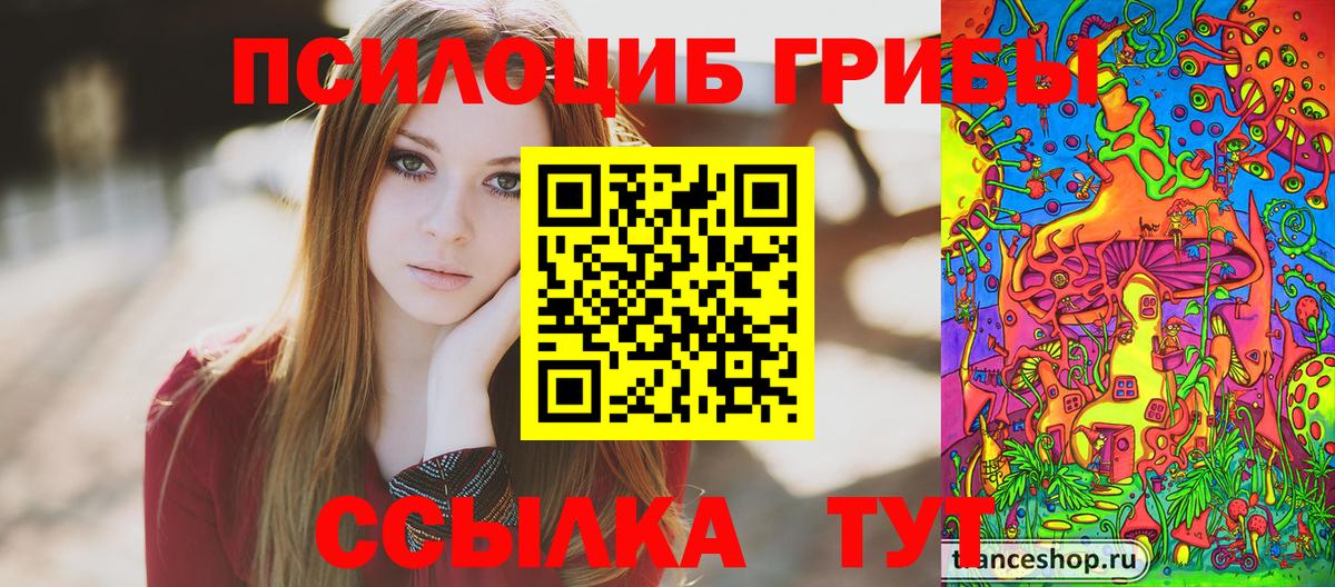 Псилоцибиновые грибы прущие грибы Бузулук