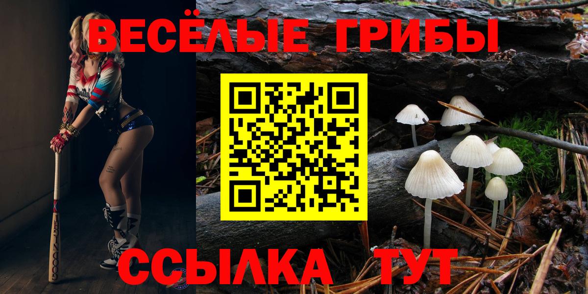 Бузулук  Галлюциногенные грибы Psilocybe  Вход с VPN 